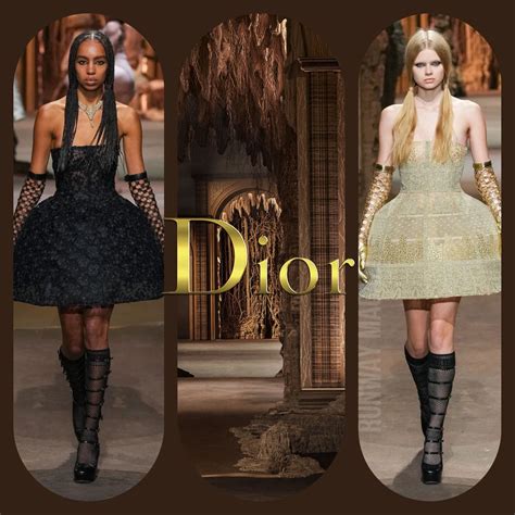 dior shoes collection|Women's DIOR .